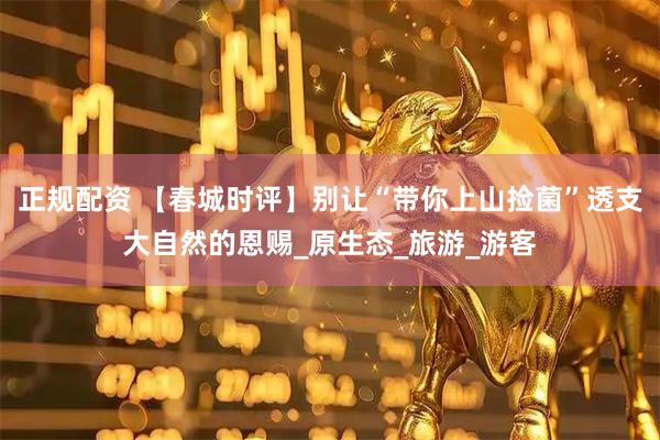 正规配资 【春城时评】别让“带你上山捡菌”透支大自然的恩赐_原生态_旅游_游客